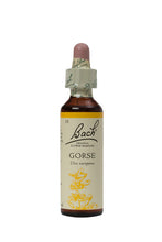 Load image into Gallery viewer, 13 Gorse