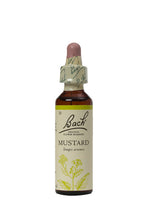 Load image into Gallery viewer, 21. Mustard