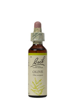 Load image into Gallery viewer, 23. Olive