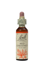 Load image into Gallery viewer, 25. Red Chestnut