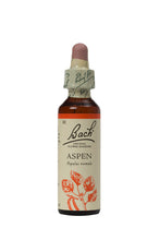 Load image into Gallery viewer, 02 Aspen