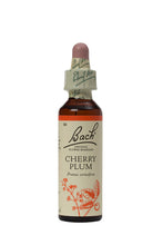 Load image into Gallery viewer, 06 Cherry Plum