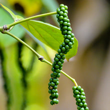 Load image into Gallery viewer, Black Pepper
