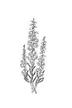 Load image into Gallery viewer, 14. Heather