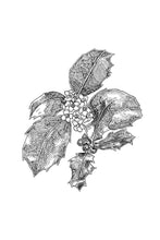 Load image into Gallery viewer, 15. Holly