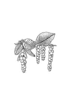 Load image into Gallery viewer, 17. Hornbeam