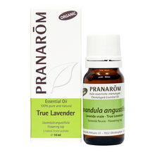 Load image into Gallery viewer, Lavender, True
