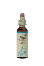 Load image into Gallery viewer, 32. Vine
