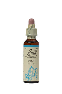 32. Vine