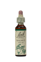 Load image into Gallery viewer, 33. Walnut
