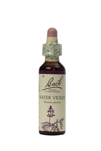 34. Water Violet