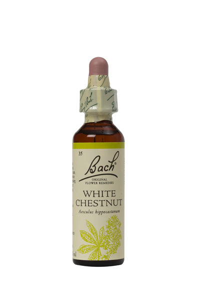 35. White Chestnut
