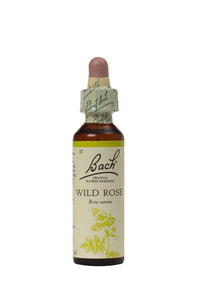 37. Wild Rose