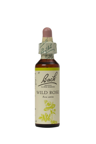 37. Wild Rose