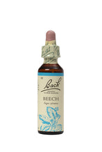 Load image into Gallery viewer, 03 Beech
