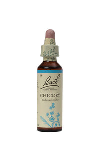 08 Chicory