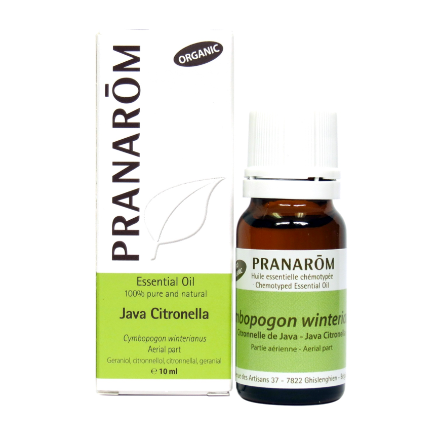 Citronella