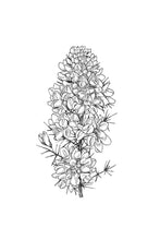 Load image into Gallery viewer, 13 Gorse

