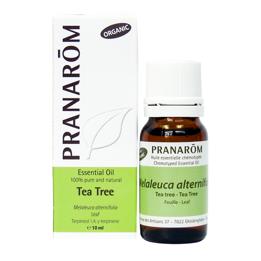 Tea Tree